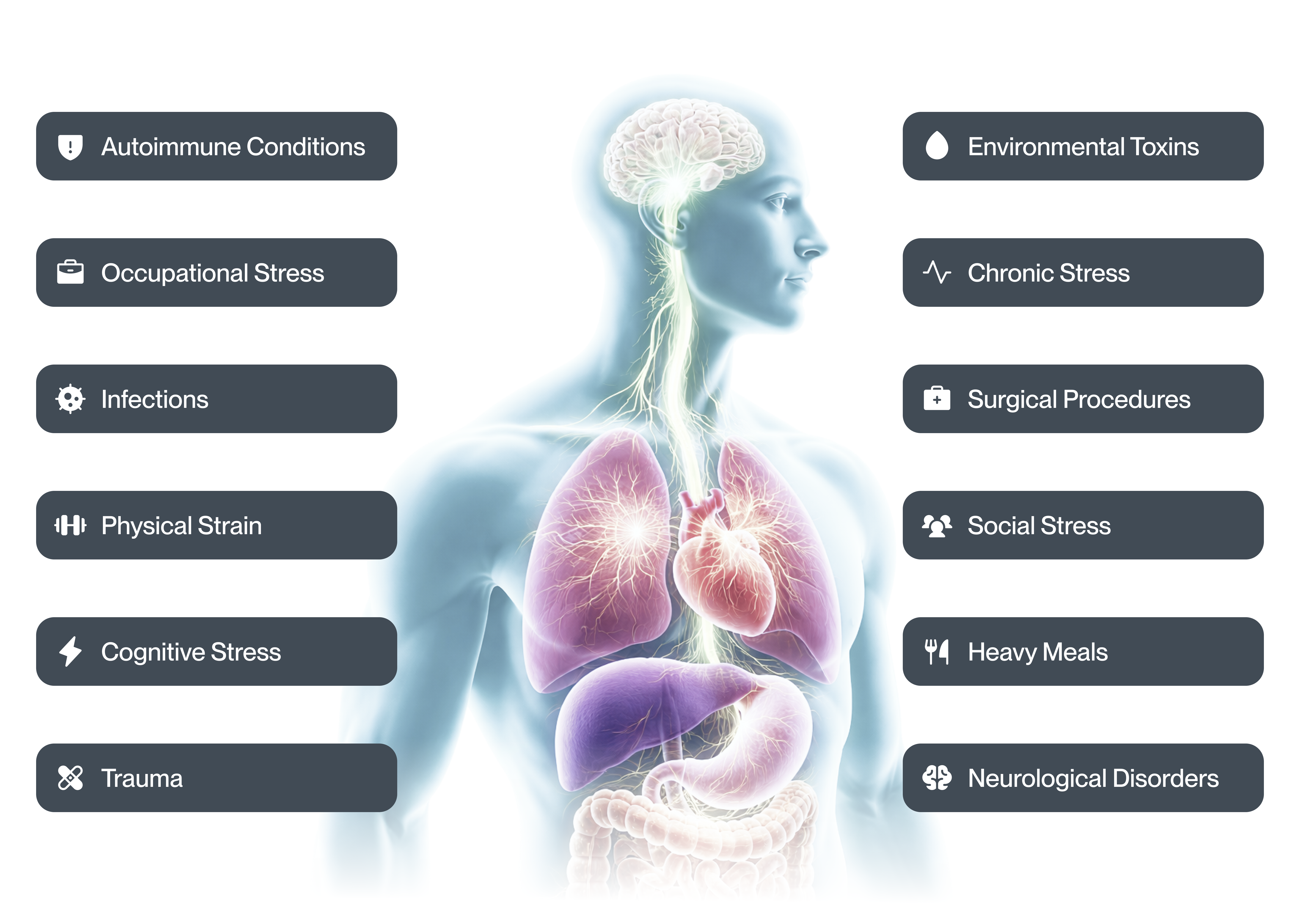See Causes Of Vagus Nerve Impairment