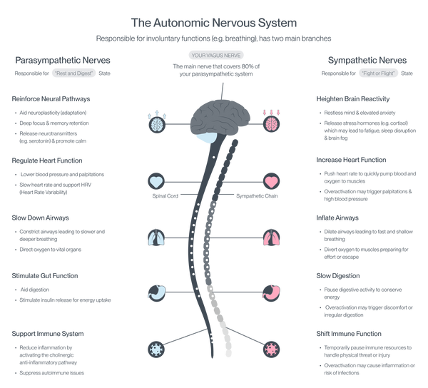 Is Your Nervous System Keeping You in a State of Stress, With Anxious or Depressive Thoughts?