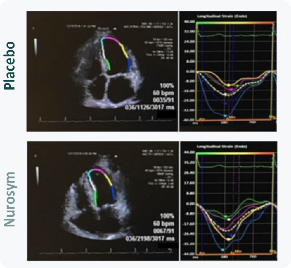 The Journal of Cardiovascular Translational Research
