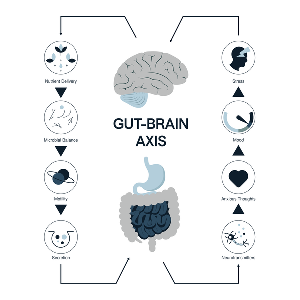Is Your Nervous System Impairing Digestion?