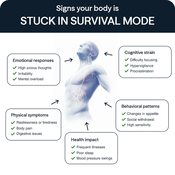 Is Your Nervous System Contributing to Chronic Tiredness, Brain Fog, or Burnout?