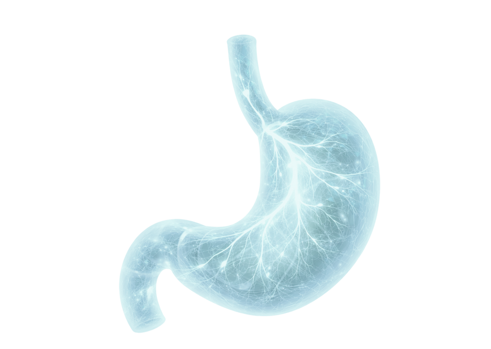 Stimulate Gut Function