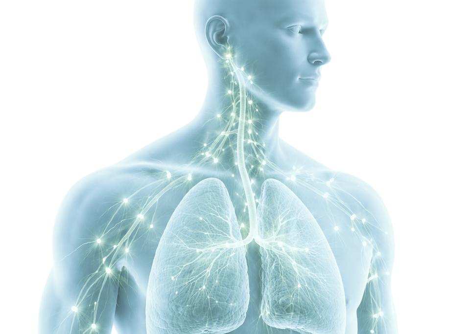 Support Immune System