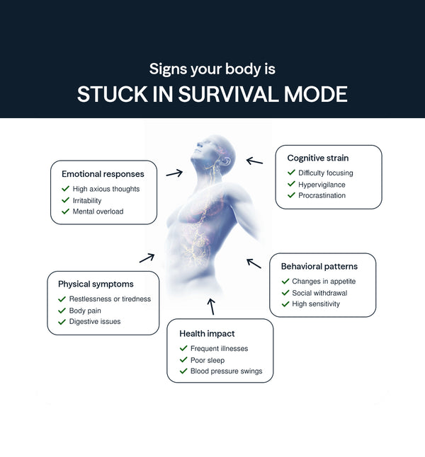 Nervous System Dysregulation: The Silent Pandemic You've Never Heard of